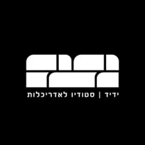 מיכאל ידיד